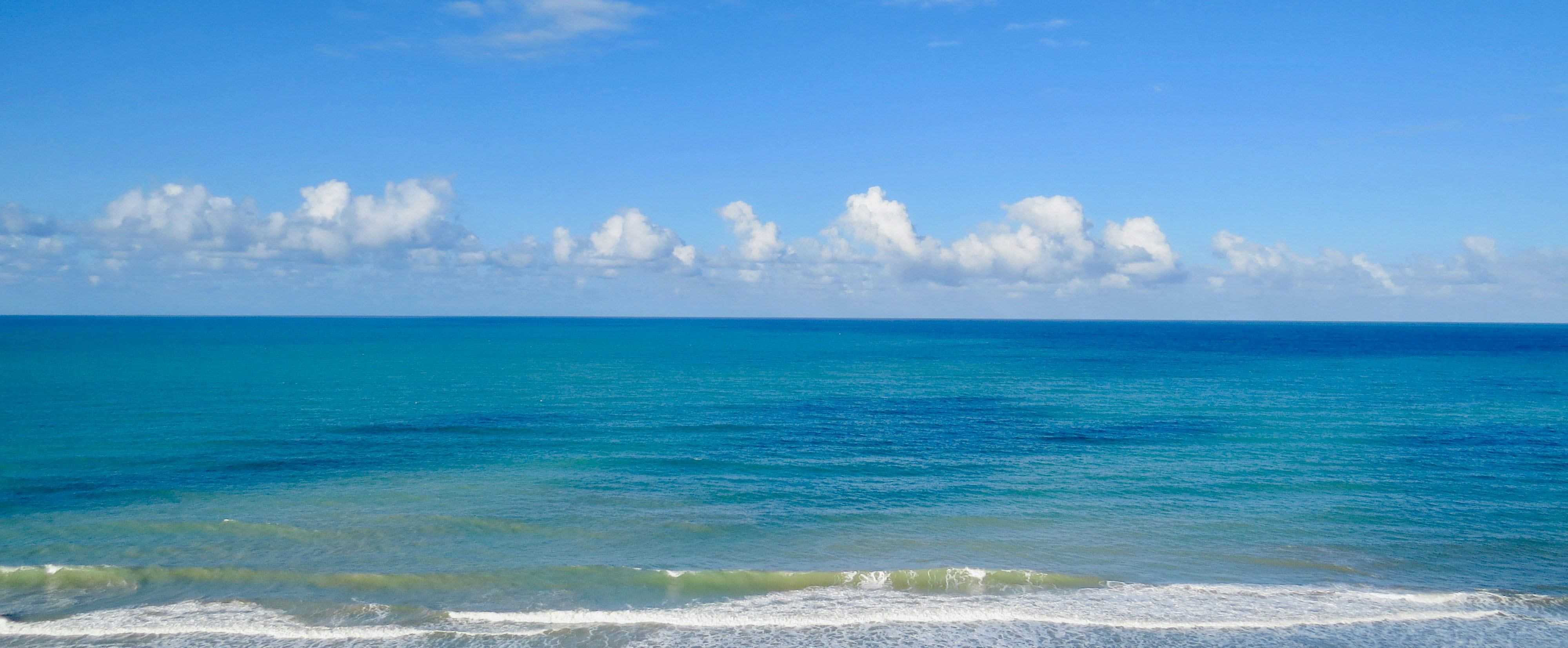 header_img