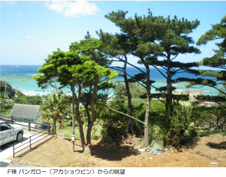 20241230_135147_163008_トリミング.PNG